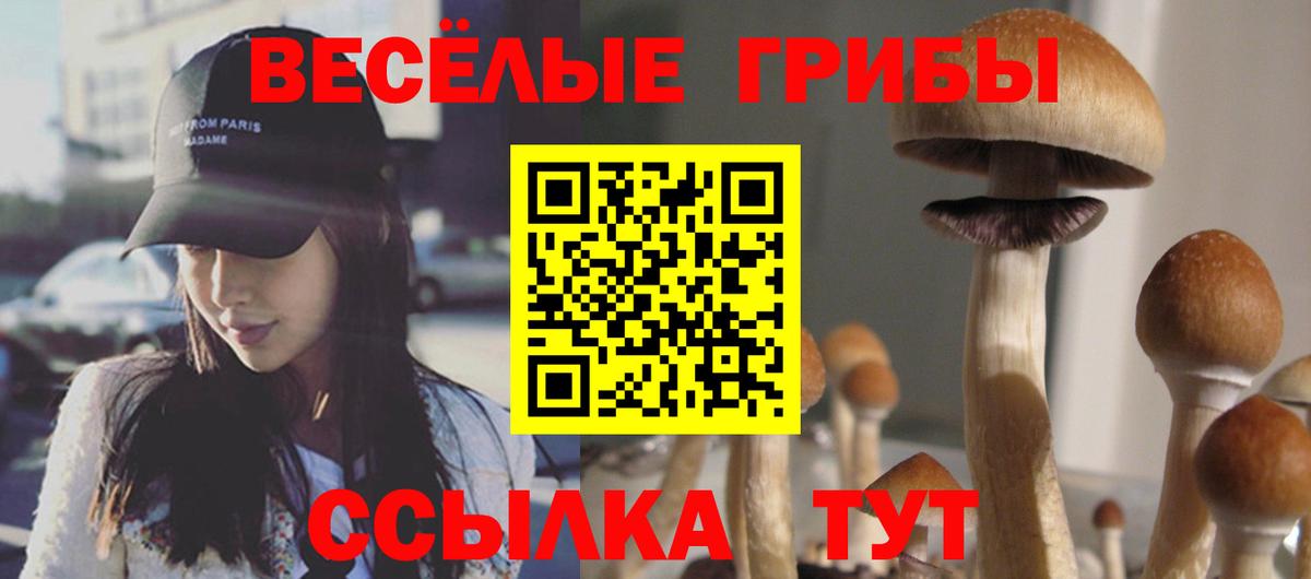 Минеральные Воды  Псилоцибиновые грибы GOLDEN TEACHER  Вход с VPN 